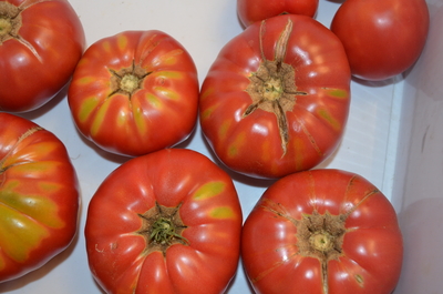 Pruden's Purple Beefsteak Tomato