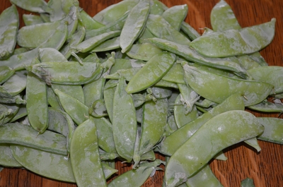 Oregon Sugar Pod II Snow Pea