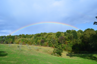 Rainbow Over Acorn Hollow